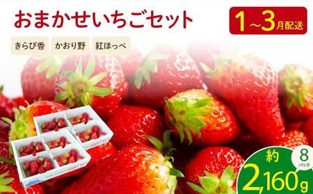 2026年1月より順次発送予定 いちご 2kg 以上 おまかせ いちご
