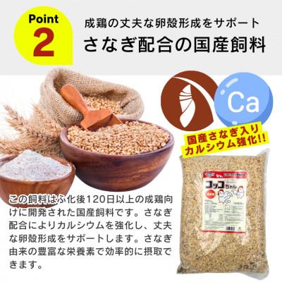 ふるさと納税 久留米市 コッコちゃん 成鶏用 さなぎ入 8.5kg(久留米市) |  | 02