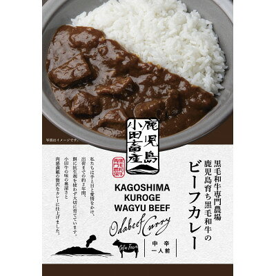 【ふるさと納税】小田牛のビーフカレー　180g×2個【1755180】