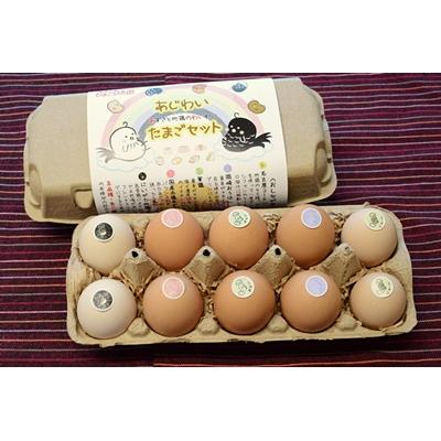 ふるさと納税 阿賀野市 【あずさと四種の地鶏詰め合わせ】あじわいたまごセット 卵 たまご 地鶏