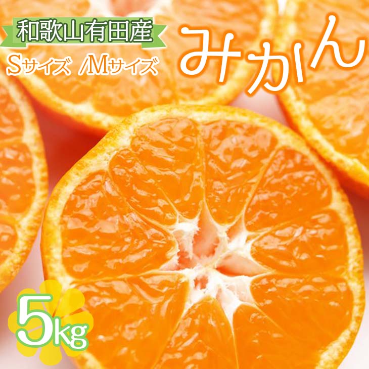【ご家庭用】和歌山有田みかん約5kg(S、Mサイズ)〇 ｜ みかん 有田みかん 温州みかん ミカン 温州ミカン 柑橘 果物 フルーツ 甘い 先行予約 s m 甘い 5kg ※北海道・沖縄・離島への配送不可 ※2025年10月中旬～2026年1月下旬頃に順次発送予定