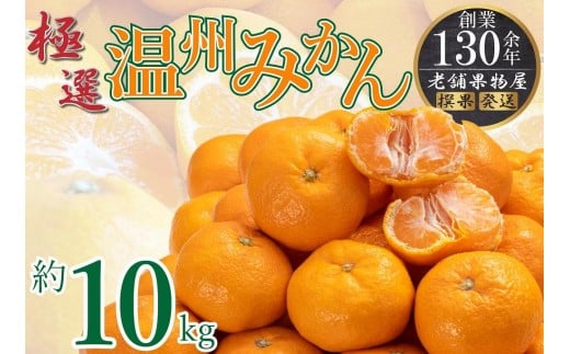 極撰！温州みかん　約10ｋｇ