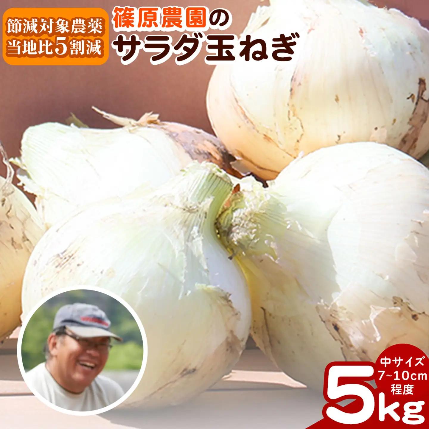 玉ねぎ サラダ 5kg 玉ねぎ
