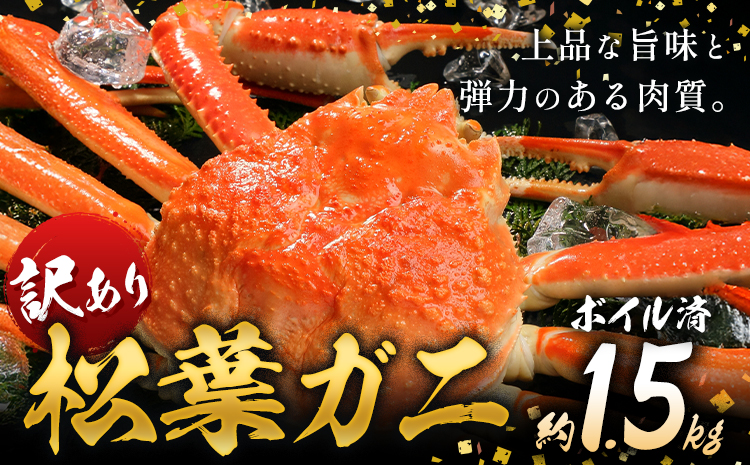 かに 訳あり 松葉ガニ 1.5kg ボイル済み 冷蔵 《2024年11月上旬-2025年4月中旬頃出荷》お魚センターみくりや 鳥取県 八頭町 蟹 かに カニ 鍋 松葉ガニ ボイル 送料無料 訳あり 訳