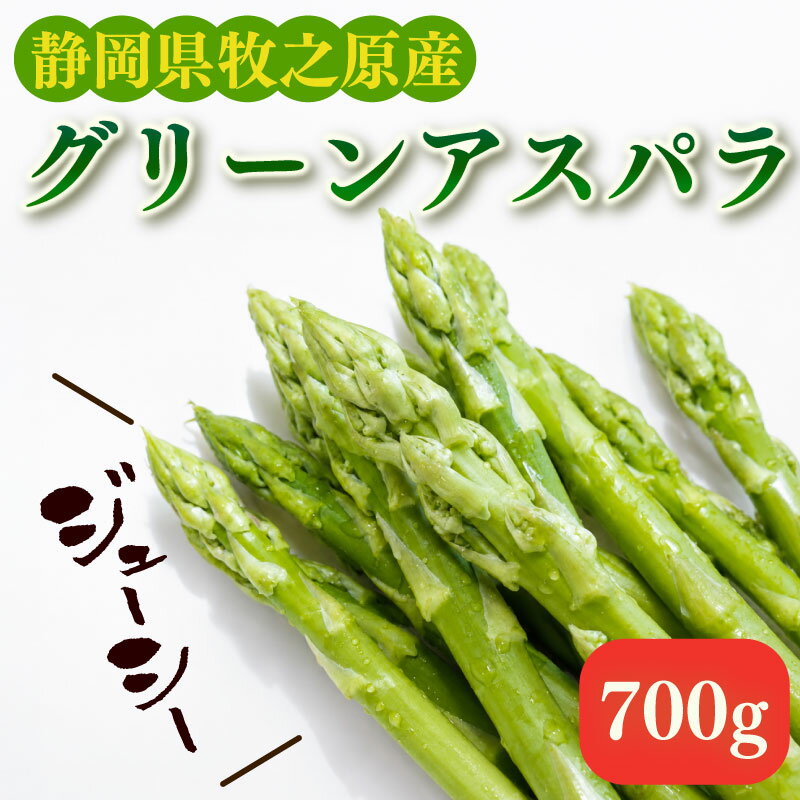 【ふるさと納税】 【2026年5月順次発送 国産 アスパラ】朝採れ 新鮮アスパラ 700g（20~35本前後）野菜 静岡県産 バーベキュー シャキシャキ ソテー サラダ キャンプ 旬野菜 アスパラガスとれたて 天ぷら あすぱらがす あすぱら 丸新柴本製茶 静岡 県 牧之原市