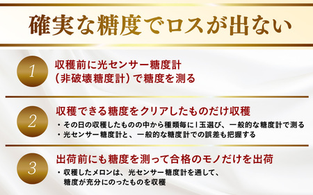 【先行予約】青肉アールスナイトメロン 秀品 2玉（1.5kg以上×2玉）【アールス系青肉メロン】《糖度16度程度！1株1果採りで育てる高級メロン！》／ 果物 フルーツ 農家直送 青肉 マスクメロン ア