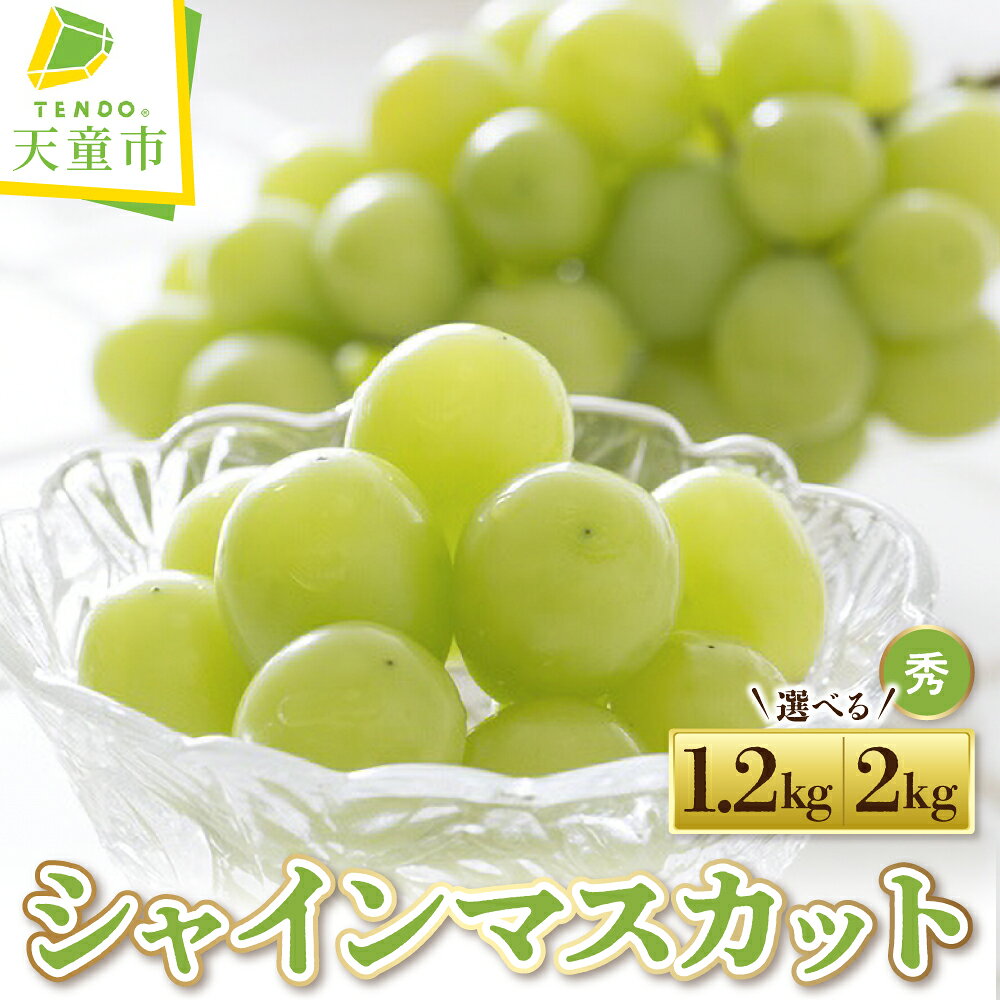 【ふるさと納税】ぶどう ( シャインマスカット ) 選べる 1.2kg / 2kg 秀品 山形県産 葡萄 果物 フルーツ のし 贈答 ギフト プレゼント おすそ分け 秋 旬 期間限定 冷蔵便 送料無料 産地直送 お取り寄せ 【 山形県 天童市 】