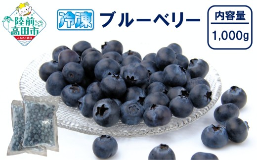先行予約 【数量限定】 冷凍ブルーベリー 500g×2袋 (計1,000g) 品種ミックス だいわフルーツパーク 【 産地直送 果物 フルーツ ブルーベリー 食べ比べ ヨーグルト ジャム 】 RT3012
