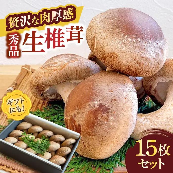 生椎茸 秀品15枚 SBX001 椎茸