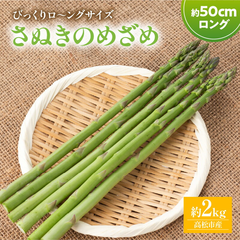 【ふるさと納税】びっくりロ～ングサイズ さぬきのめざめロング約50cm 約2kg【2026-2月中旬～2026-4月下旬配送】 | 高松市産 国産 爽やか 甘い ジューシー ロング オリジナル品種 品種 アスパラ 自宅用 おうち時間 お取り寄せ 新鮮 野菜 農産物 旬 旬の野菜 産地直送