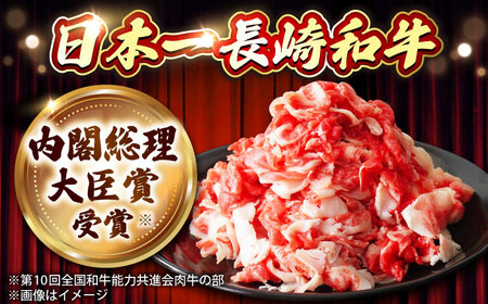 2回定期便 長崎和牛 牛肉切り落とし (300g×2)  [DBL022] 牛肉定期便