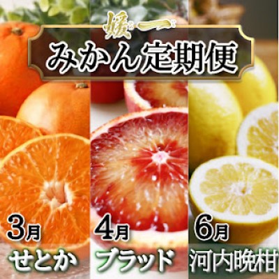 
                  【発送月固定定期便】愛媛が誇る旬の柑橘めぐり（せとか・ブラッドオレンジ・河内晩柑）【28-55】全3回 みかん ミカン  せとか ブラッドオレンジ 河内晩柑 柑橘 柑橘類 フルーツ 果物 くだもの 人気 美味しい 愛媛県 八幡浜 ふるさと 定期 YWTN043
                