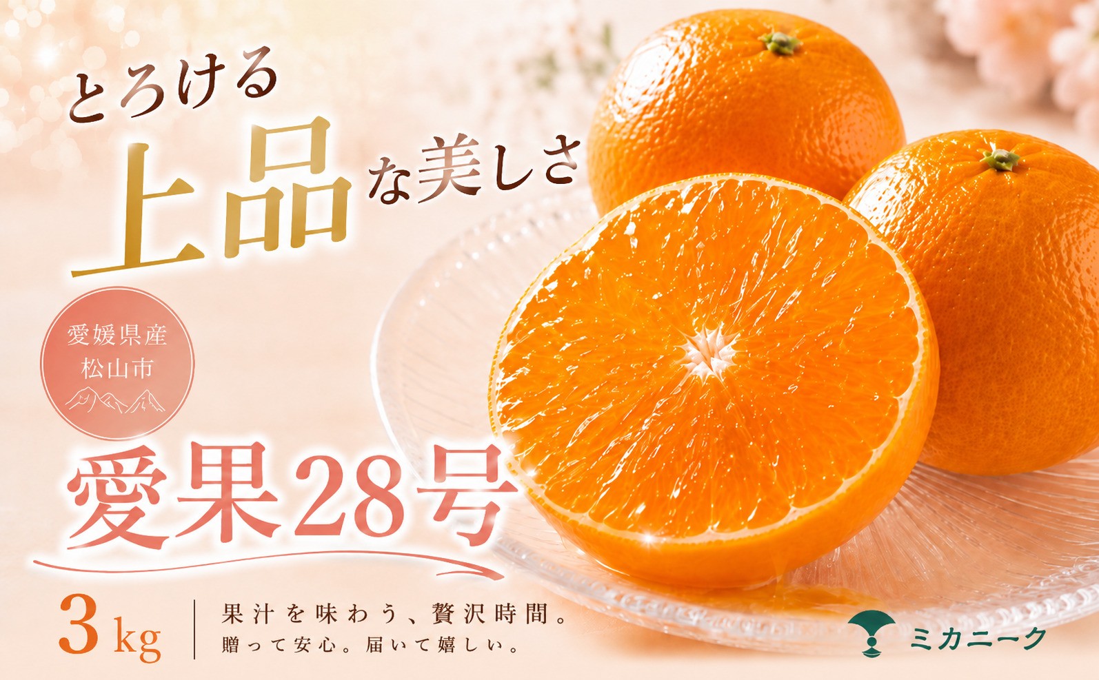 
                  【数に限りあり】ゼリー食感【愛果28号（紅まどんなと同品種）】3kg 愛媛県産 【2026年11月下旬頃から順次発送】 | みかん あいか 柑橘 果物 愛媛のみかん くだもの ギフト フルーツ ご家庭用 数量限定 愛媛三大柑橘（ 紅まどんな せとか 甘平 ） 愛媛県 松山市
                