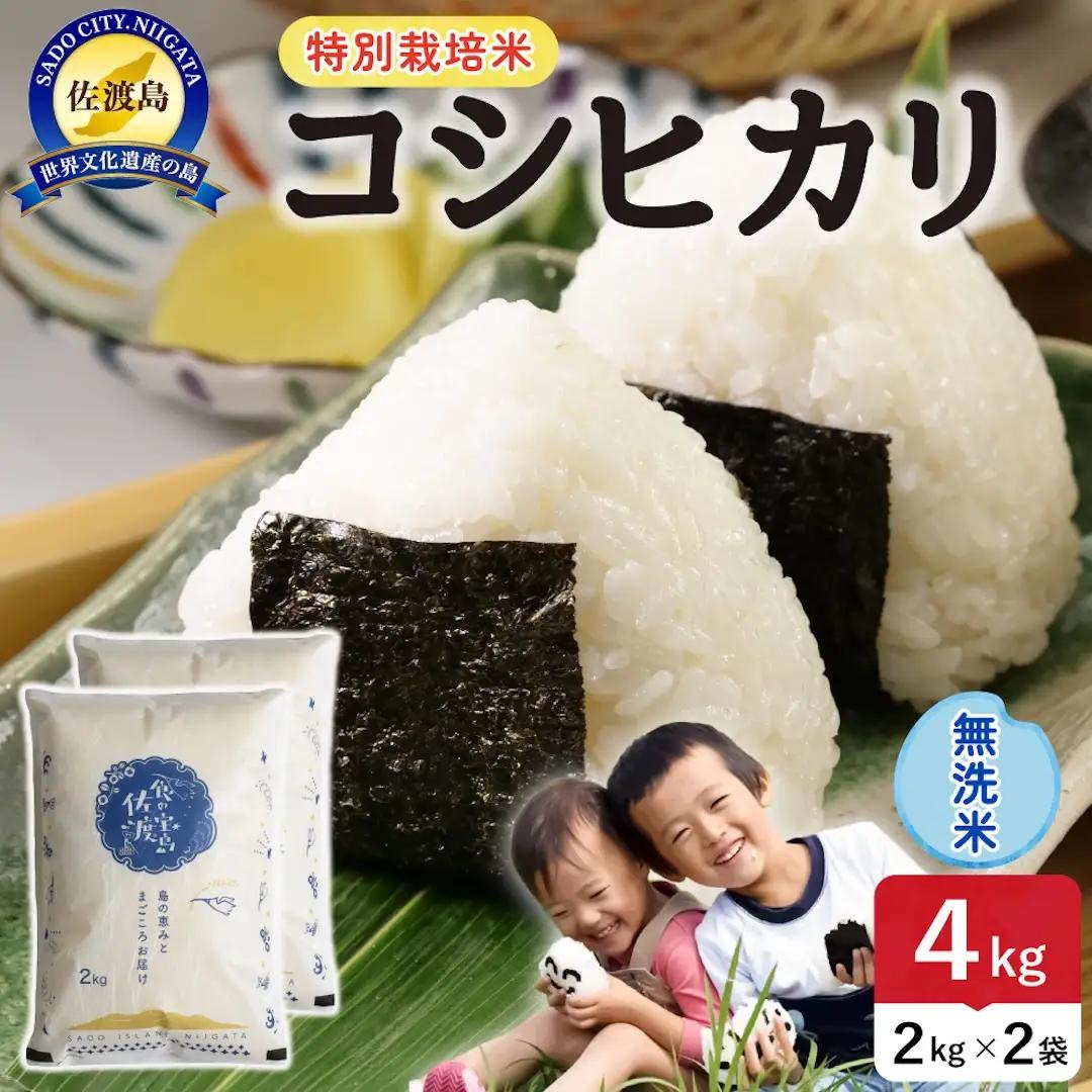 令和8年産 佐渡島産コシヒカリ 無洗米4kg 特別栽培米 195962-122202