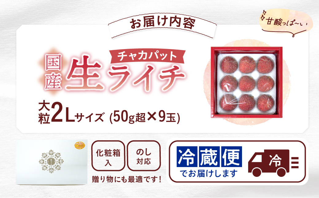先行予約 数量限定 希少 国産 綾 生ライチ 大粒 2L サイズ（化粧箱入り）果物 フルーツ くだもの 国産ライチ 2027年 トロピカルフルーツ 南国フルーツ 冷蔵 ジューシー 高級 デザート ギフト 贈り物 プレゼント ご褒美 宮崎県 送料無料【JA綾町】_A0114-2661