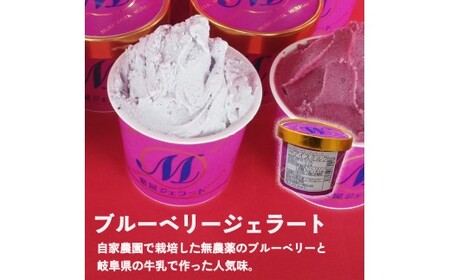 無農薬 自然農園紫屋ジェラート12個セット