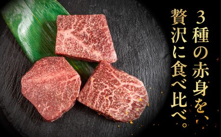 飛騨牛 赤身ステーキ 3種 食べ比べセット（各100g）計300g （ランプ・イチボ・モモ）【22-52】
