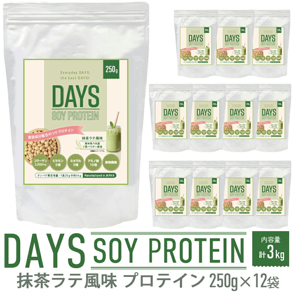 【ふるさと納税】DAYS SOY PROTEIN 抹茶ラテ風味 250g×12袋 合計3kg ソイプロテイン い草 大豆たんぱく質 抹茶 植物性タンパク質 コラーゲンペプチド 置き換え食 送料無料 イ草 藺草 いぐさ 筋トレ