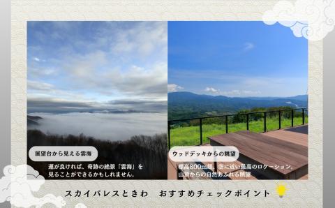 【1泊2食付ペア宿泊券】天空 リゾート 「スカイパレスときわ」 宿泊券 2名 1泊2日 朝食 夕食 貸切風呂 展望 洋室 和室 自然 ビール 旅行 観光 チケット 発行日より2年間有効 福島県 田村市