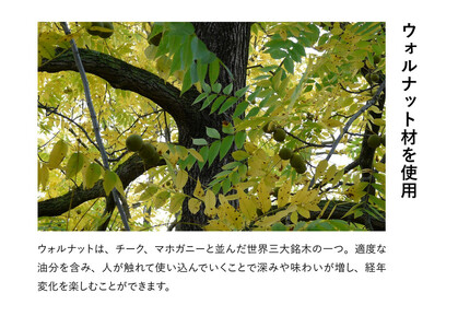 【浜本工芸】ウォルナット　7559スツール　ダイニングテーブル用