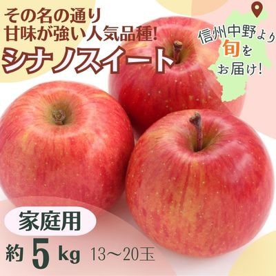 シナノスイート 家庭用 5kg(13～20玉)【配送不可地域：離島】【1519653】