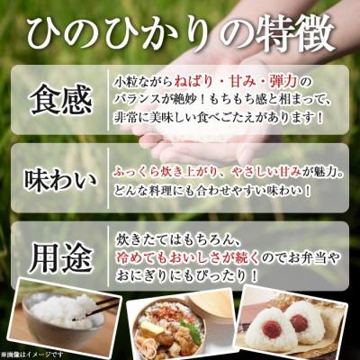 ふるさと納税 伊佐市 鹿児島県産ひのひかり・あきほなみ食べ比べセット(各5kg・合計10kg) isa845 |  | 01