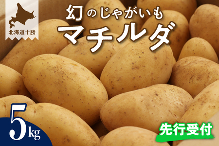 【先行受付】【2025年9月下旬より配送予定】北海道十勝芽室町 幻の じゃがいも マチルダ 5kg キャンプ 飯 BBQ アウトドア ソロキャン 登山 芋 ジャガイモ 越冬 美味しさに 訳あり ポテト