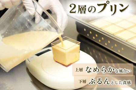 プリン「プレーン6個」江戸流行婦凛 (トウキョウハヤリ プリン) [0488]
