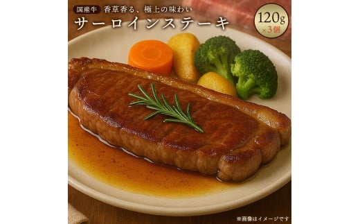 【ふるさと納税】 サーロインステーキ 国産牛 サーロインステーキ肉 360g（120g×3個） [ 赤身肉 牛肉 ステーキ肉 オリーブオイル ローズマリー 香草焼き お取り寄せグルメ グルメギフト 返礼品 送料無料 香川県 三豊市 返礼品 てっぱんやきさんて ]
