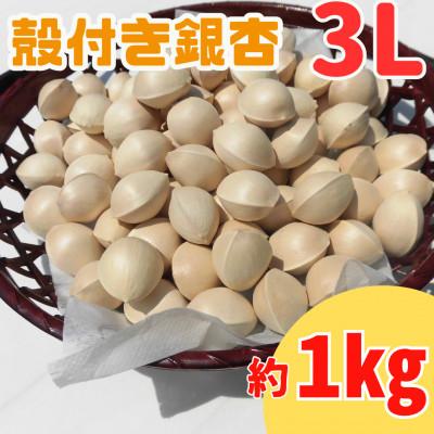 ふるさと納税 山辺町 【先行受付】殻付き銀杏 (ぎんなん)【3L】 約1kg(200g×5パック)