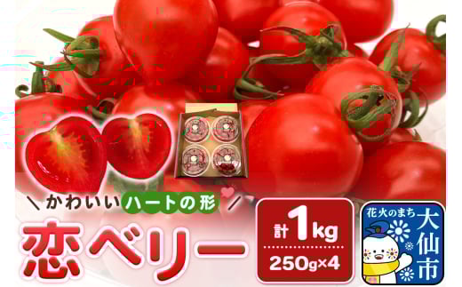 秋田県産ミニトマト「恋ベリー」1kg（250g×4）ギフトBOX 高糖度 とまと 野菜 新鮮 甘い
