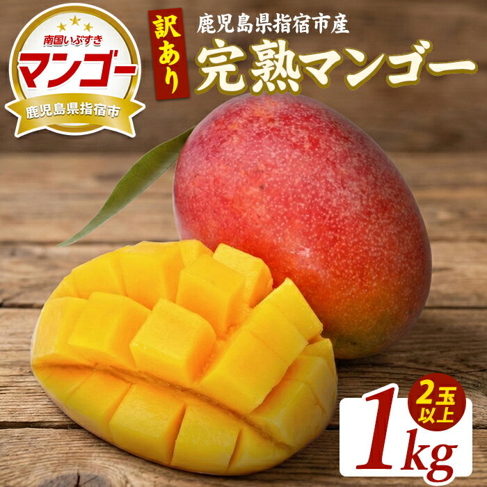 【ふるさと納税】＜先行予約受付中！2026年5月下旬以降順次発送＞【訳あり】鹿児島県指宿産 完熟マンゴー約1kg 訳あり ご家庭用 完熟 フルーツ 果物 果実 デザート スイーツ 南国【室屋植物園】