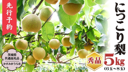 【2025年9月下旬から発送開始】《秀品》 にっこり梨 5kg 6玉 ～ 8玉 （茨城県共通返礼品／かすみがうら市） 鈴木農園 産地直送 フルーツ 甘い 直送 茨城 限定 にっこり [ED001sa]