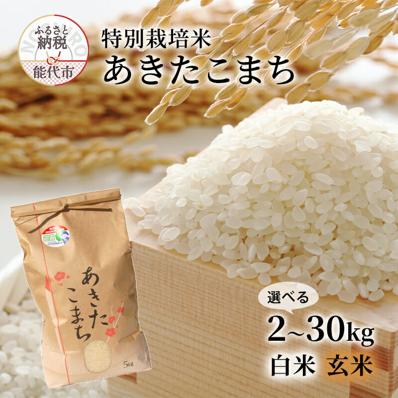 【ふるさと納税】玄米 あきたこまち 2kg 令和7年産 米 こめ お米 おこめ 令和7年 特別栽培米 産地直送 ご飯 ごはん 秋田こまち 秋田 秋田県 能代市 特別栽培　お届け：ご入金確認から2週間から1ヶ月程度でお届けします。