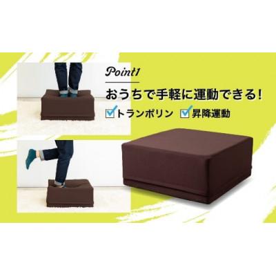 ふるさと納税 うきは市 運動×スツール『アクティブスツール』U139-1DN-FTAS-BR |  | 01