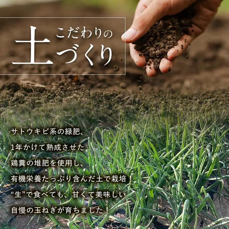 ＜2027年度先行予約＞甘すぎる新鮮玉ねぎ 10kg（2027年6月上旬～6月下旬頃出荷） 減農薬減 化学肥料 生食 たまねぎ 玉ねぎ タマネギ 野菜 食品 F21E-111