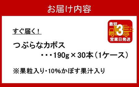 2369R_【最短3営業日発送】すぐ届く！つぶらなカボス（30本）