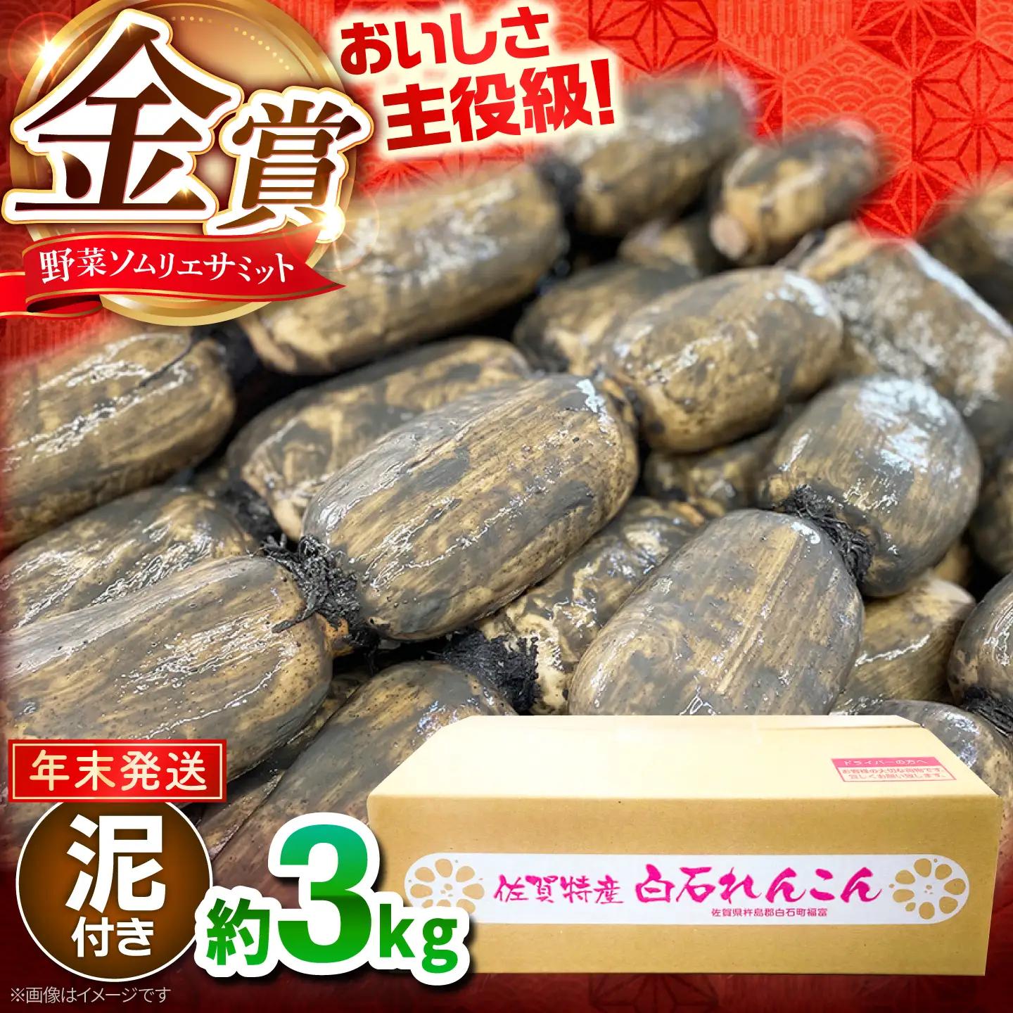【先行予約 年末発送】れんこん 約3kg れんこん