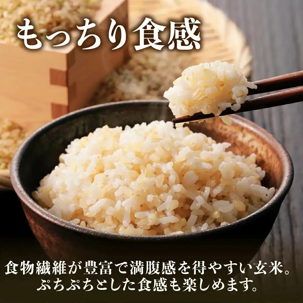新米予約〈スピード出荷〉減農薬 特A 玄米 丹波篠山産 特別栽培米 こしひかり 10kg 小分け