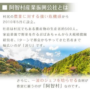 【先行予約】南信州 阿智村 市田柿 1箱（約700g）｜［市田柿　市田柿　市田柿　市田柿　市田柿］