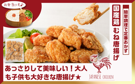 一口チキン南蛮＆鶏むね唐揚げセット_11-9206_(都城市) 宮崎県産鶏 国産鶏 チキン南蛮 むね唐揚げ 特製タルタルソース ジューシー レンジ お弁当 おつまみ