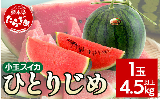 
            【2026年5月上旬～発送】【先行予約】熊本県産 小玉スイカ ひとりじめ 1玉 (4.5kg以上)【 2026年 夏 スイカ 西瓜 フルーツ 果物 旬の味覚 すいか 甘い 産地直送 】008-0677
          