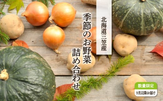 
                  《令和8年分》数量限定！季節のお野菜詰め合わせ 秋(配送時期：9月～10月)| ふるさと納税 北海道 三笠 野菜 秋野菜 秋 新鮮 新鮮野菜 詰合せ 詰め合わせ お取り寄せ ワンストップ マイページ 道の駅みかさ 農家の店 三笠市【01018】
                