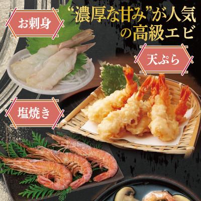 ふるさと納税 泉佐野市 足赤エビ 500g【国産 天然 ぷりぷり 水揚げ 生食可】015B593 |  | 01