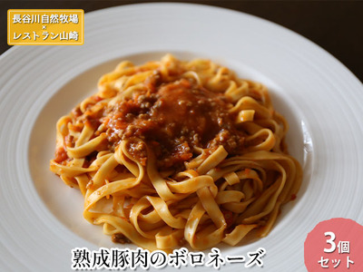熟成豚肉 ボロネーズ 長谷川自然牧場 パスタソース 熟成豚肉【3個】【冷凍】