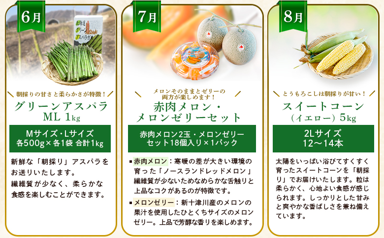 【新十津川町】夏の味覚定期便セット【12030】