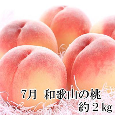ふるさと納税 和歌山市 【発送月固定定期便】和歌山の夏の人気フルーツ定期便全3回 |  | 02