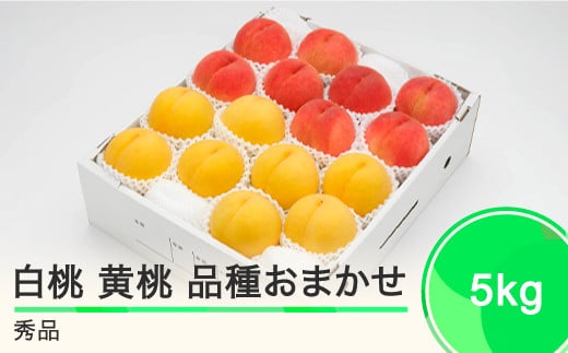 
            もも 白桃 有袋黄桃 秀品 詰め合わせ 品種おまかせ 5kg  化粧箱入りフルーツ 果物 アソート 令和7年産 2025年産 山形県産 ns-mohot5
          