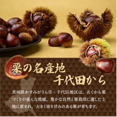 ふるさと納税 かすみがうら市 千代田のこだわり生栗 2kg 和栗 2Lサイズ | 茨城県 かすみがうら市 |  | 01