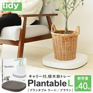 tidy ティディ Plantable L（キャスター付植木鉢トレイ）【ブラウン】015EB11N.／Lサイズ 台 観葉植物 トレイ プランター 受け皿 受皿 鉢皿 らくらく移動 可動式 軽量 ガーデニング リビング オフィス 玄関 掃除用品 掃除 お掃除 日用品 インテリア 雑貨 おしゃれ